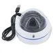 Infrared HD Surveillance Roof Mount CCTV Dome Cameras